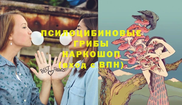 mdma Дмитров