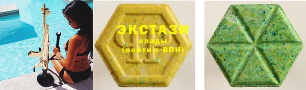 гидра Елабуга