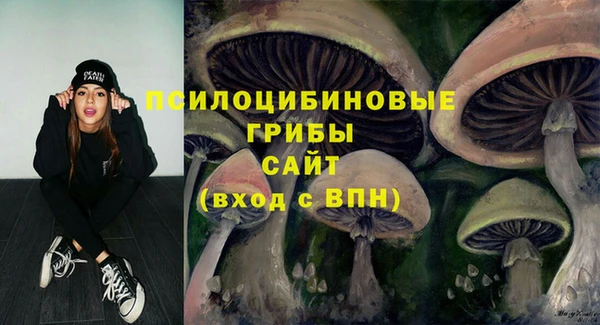 кокаин колумбия Дмитриев