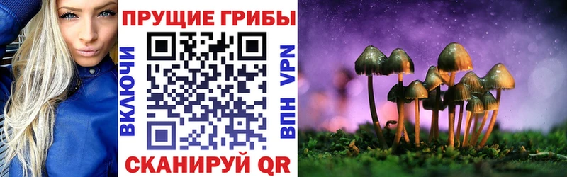 Псилоцибиновые грибы Cubensis  Купить где  Константиновск 